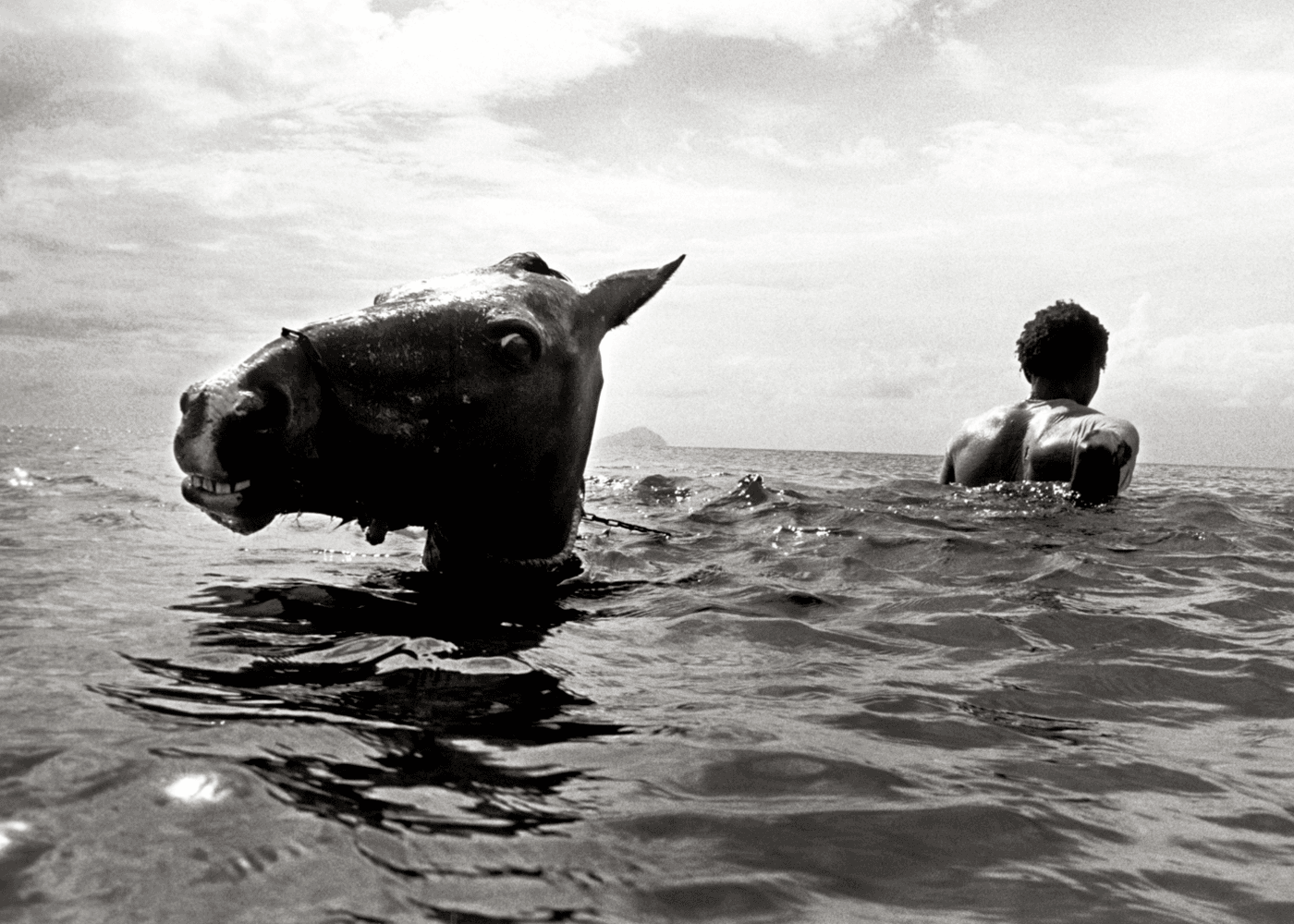 Leica image